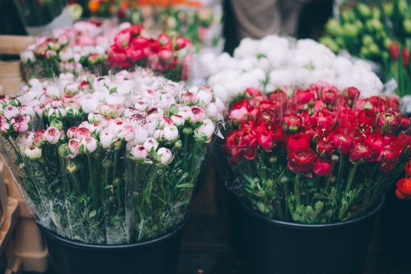 fleuriste-TENDE-min_farmers-market-1209712